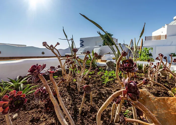 Ble Oneiro Kira Villa Adamantas