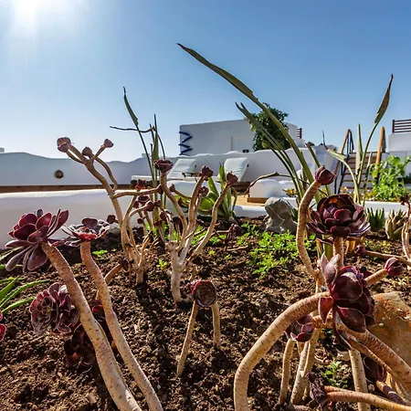 Ble Oneiro Kira 빌라 아다마스